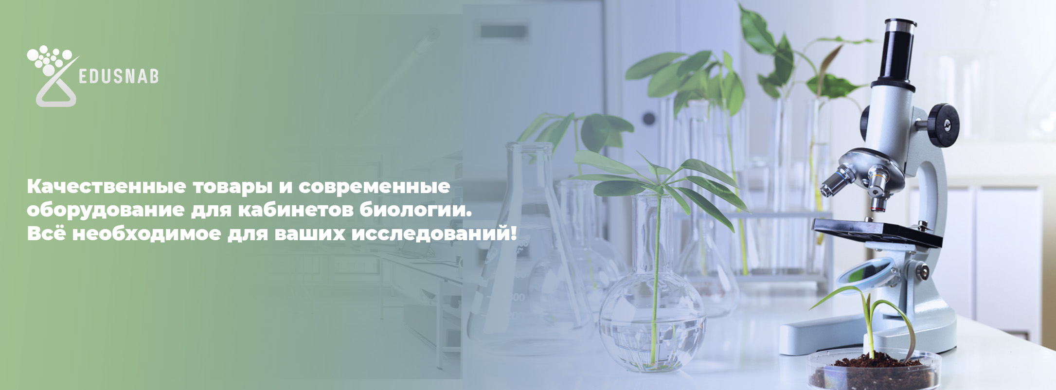 Баннеры сверху